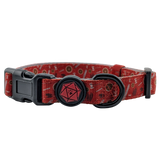 Paw-lymorph Dog Collar: Barbarian - Large