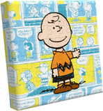 Puzzle: Peanuts® Charlie Brown