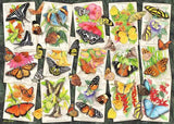Collection of colorful butterfly and flower illustrations on a white background