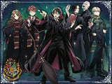 Animated characters in wizarding attire with a broomstick, against a dark background with stars.