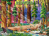 A colorful illustrated forest scene labeled 'REDWOOD NATIONAL PARK' at the top, showing giant redwood trees, a fallen log, a small orange-and-white jeep, and dense greenery in a vivid stylized landscape.