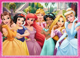 Illustration of Disney princesses in colorful dresses with a pink border