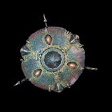 Decorative circular object with metallic and gemstone details on a black background