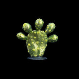 Model of a cactus plant on a black background