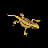 Gold lizard-shaped object on a black background