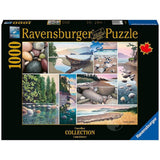 Puzzle: Canadian Collection: West Coast Tranquility