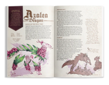 Open book with illustrations and text on dragons, specifically an Azalea Dragon, on a white background.