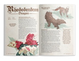 Open book showing illustrations and text about Rhododendron Dragon