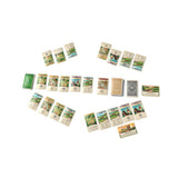 Collection of board game cards arranged in a pattern on a white background