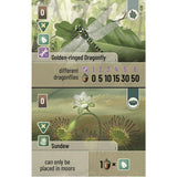A card from a dragonfly and sundew themed game, showing two illustrated cards stacked vertically. The top card is labeled 'Golden-ringed Dragonfly' with icons and a level 4 indicator, and the bottom card is labeled 'Sundew' with a level 2 indicator.