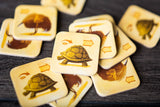 Game cards with turtle symbols on a dark surface