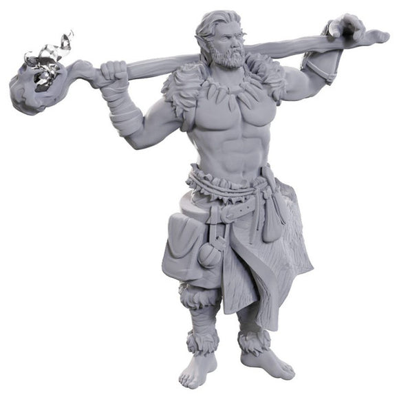 D&D: Nolzur's Marvelous Miniatures - Archdruid & Martial Arts Adept