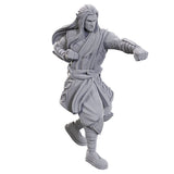 D&D: Nolzur's Marvelous Miniatures - Archdruid & Martial Arts Adept