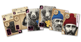 Set of cards featuring animal portraits with unique identifiers on a transparent background