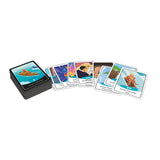 Set of cards with various illustrations on a white background