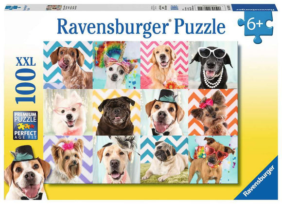 Puzzle: Doggy Disguise