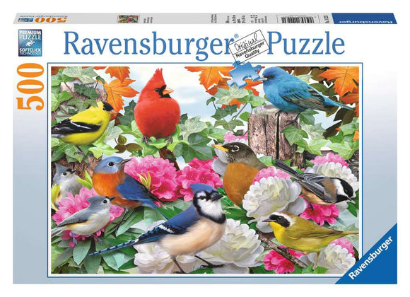 Puzzle: Garden Birds