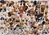 Puzzle: Dogs Galore