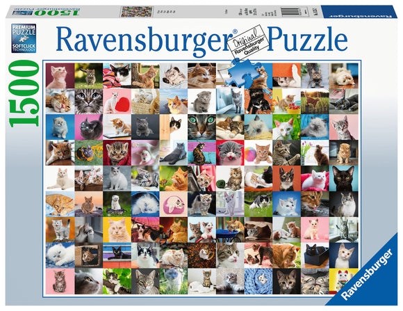 Puzzle: 99 Cats