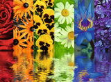 Puzzle: Floral Reflections
