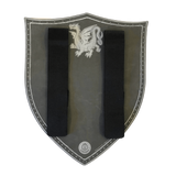 THe back of the shield. Equiped in the middle equadistant from each other, lies 2 thick and sturdy straps . The outer is lined with thin white strip and painted rivets