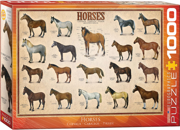 Puzzle: Animal Charts - Horses