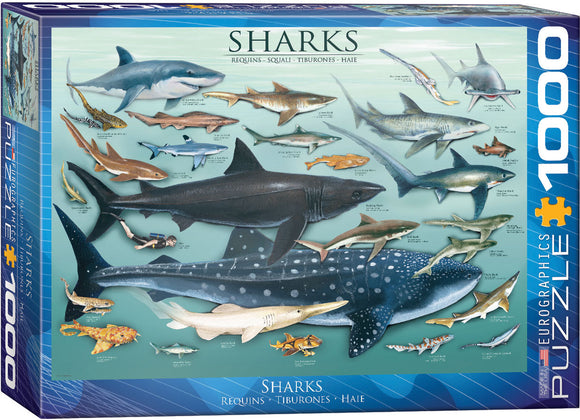 Puzzle: Animal Charts - Sharks