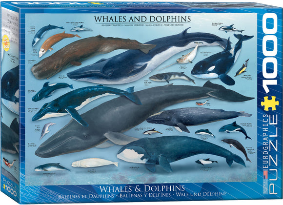 Puzzle: Animal Charts - Whales & Dolphins