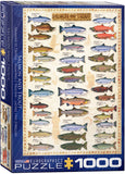 Puzzle: Animal Charts - Salmon & Trout