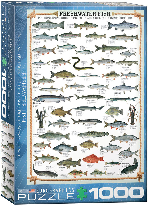 Puzzle: Animal Charts - Freshwater Fish