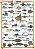 Puzzle: Animal Charts - Sea Fish