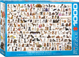 Puzzle: Animal Charts - The World of Dogs