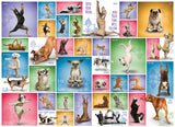Puzzle: Yoga Dogs & Cats Collection - Yoga Dogs