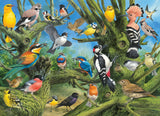 Puzzle: Artist Series - Garden Birds