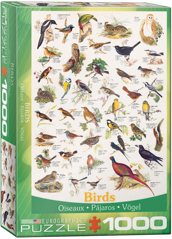 Puzzle: Animal Charts - Birds