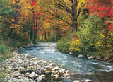 Puzzle: Scenic Photography - Forest Stream