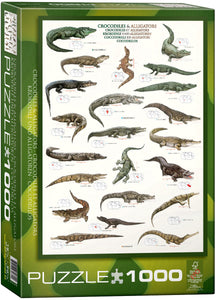 Puzzle: Animal Charts - Crocodiles and Alligators
