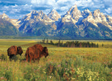 Puzzle: HDR Photography - Grand Teton National Park