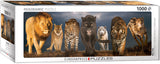 Puzzle: Panoramic Puzzles - Big Cats