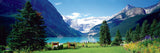 Puzzle: Panoramic Puzzles - Lake Louise Canadian Rockies