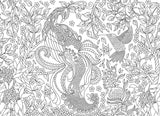 Puzzle: Color-Me Collection - Tropical Birds