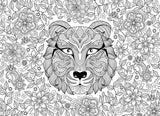 Puzzle: Color-Me Collection - Tiger