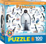 Puzzle: Educational Charts for Kids - Penguins