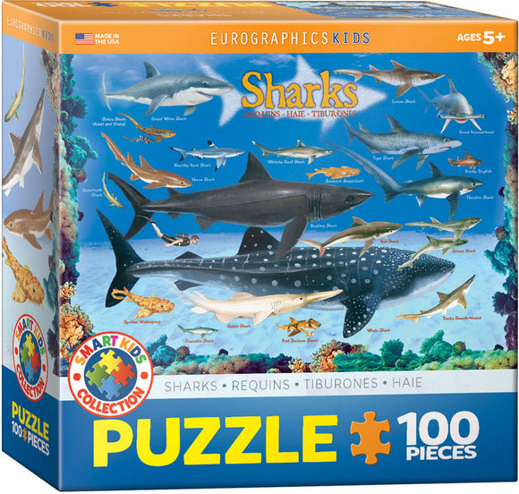 Puzzle: Educational Charts for Kids - Sharks