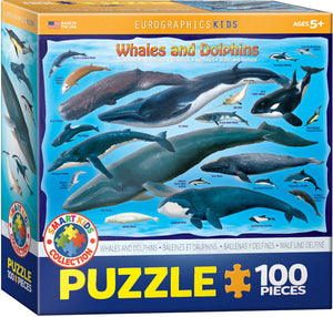 Puzzle: Educational Charts for Kids - Whales & Dolphins