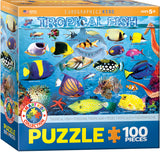 Puzzle: Educational Charts for Kids - Tropical Fish