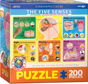 Puzzle: Educational Charts for Kids - The Five Senses