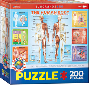 Puzzle: Educational Charts for Kids - The Human Body