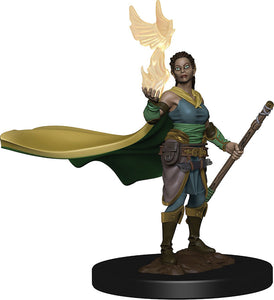 D&D: Icons of the Realms - Elf Female Druid