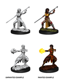 D&D: Nolzur's Marvelous Miniatures - Half-Elf Female Monk